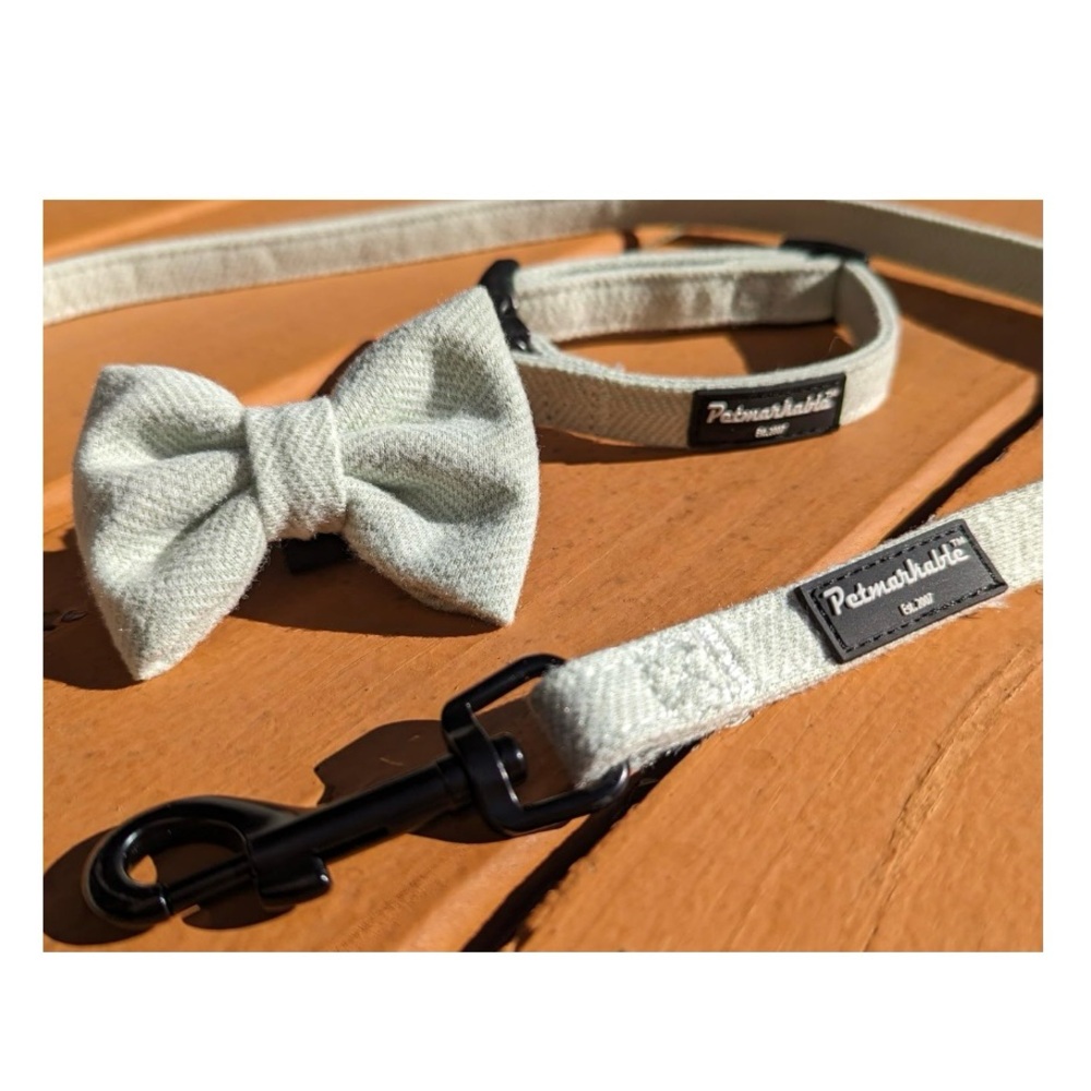Petmarkable Dog Collar Leash and Bow Tie Set - Light Green
